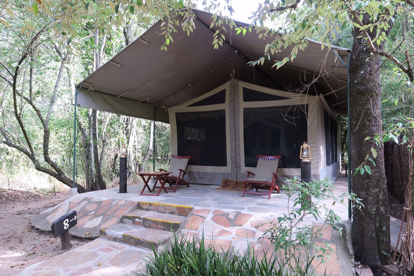 Mara Intrepids gallery 2